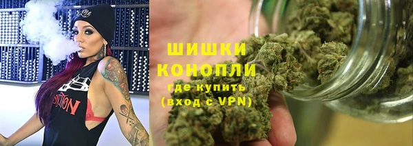 стафф Тында