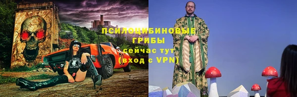 МДПВ Медвежьегорск