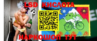 бошки Бийск