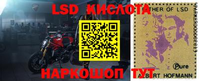 гидра Аргун