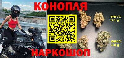 гидра Аргун
