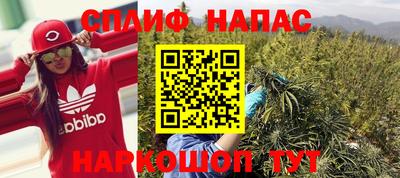 гидра Аргун