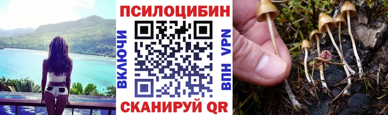 Псилоцибиновые грибы Psilocybine cubensis  гидра онион  Сорочинск 