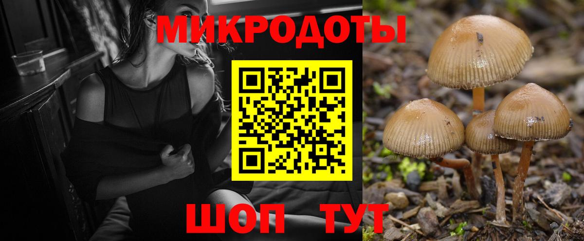 Галлюциногенные грибы Psilocybe Сорочинск